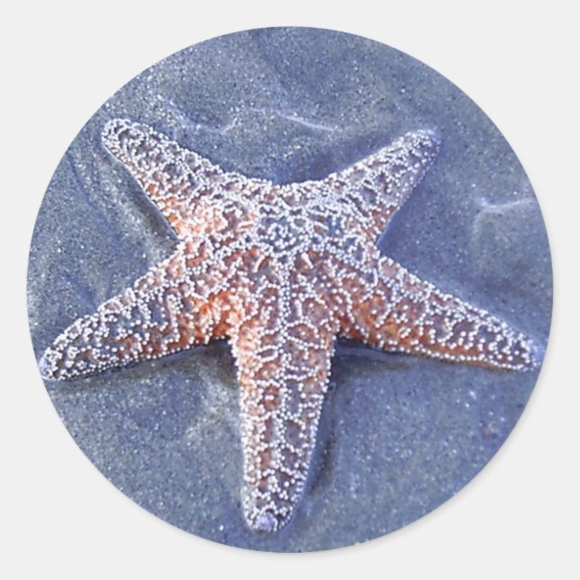 Starfish Sticker (Vorderseite)