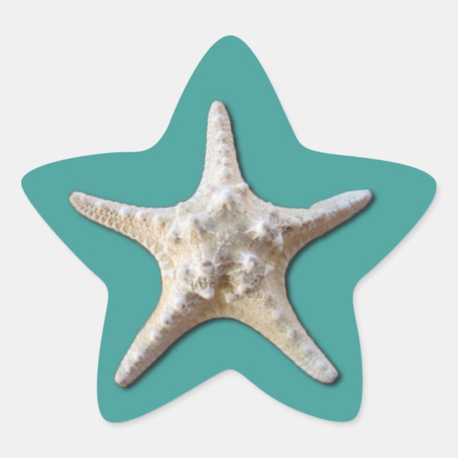 Starfish Sticker (Vorderseite)
