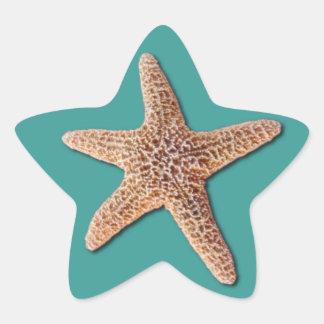 Starfish Sticker - Türkis