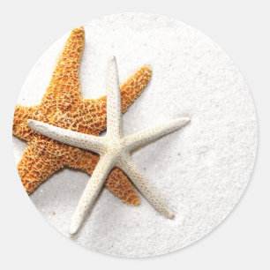 Starfish Stickers