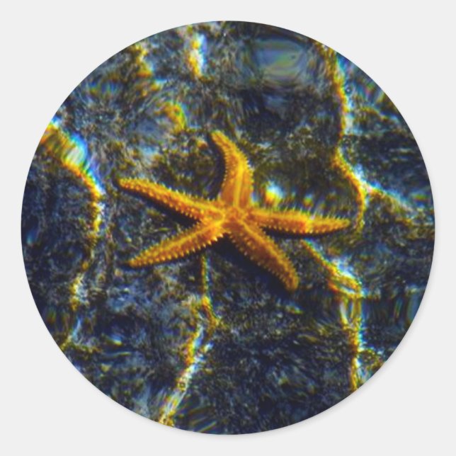 Starfish Stickers (Vorderseite)