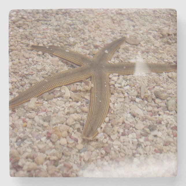 Starfish Stone Untersetzer (Vorderseite)