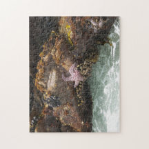 Starfish Tidepool