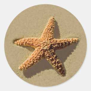 Starfish Tropical Beach Wedding Umschlag Aufkleber