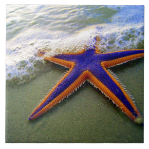 Starfish Tropical Sandy Beach Wave Fliese