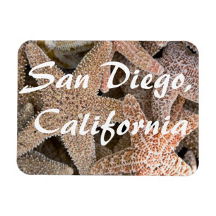 Starfish überall , San Diego , Kalifornien Magnet