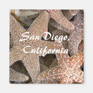 Starfish überall , San Diego , Kalifornien Magnet
