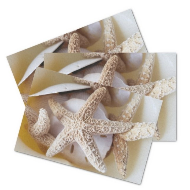 Starfish und Sand Dollars Cremeweiße Küste Seidenpapier (Von Creator hochgeladen)