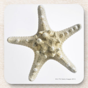 Starfish Untersetzer