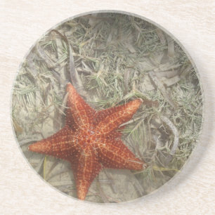 Starfish-Untersetzer Getränkeuntersetzer