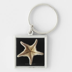 Starfishskelett, Nahaufnahme 2 Schlüsselanhänger