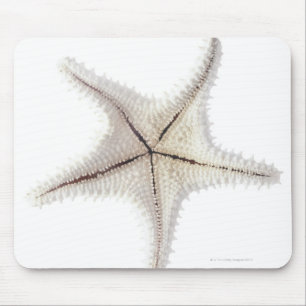 Starfishskelett, Nahaufnahme Mousepad