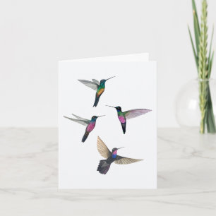 Starfrontlet Hummingbirds Karte