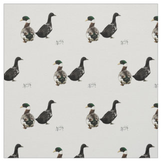 Stargazer Drake und sein Stoff aus Lady Duck - wei