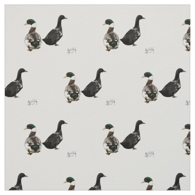 Stargazer Drake und sein Stoff aus Lady Duck - wei (Muster)
