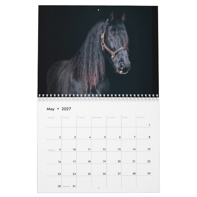 Stargazer Farm Pferde Kalender (Mai 2027)
