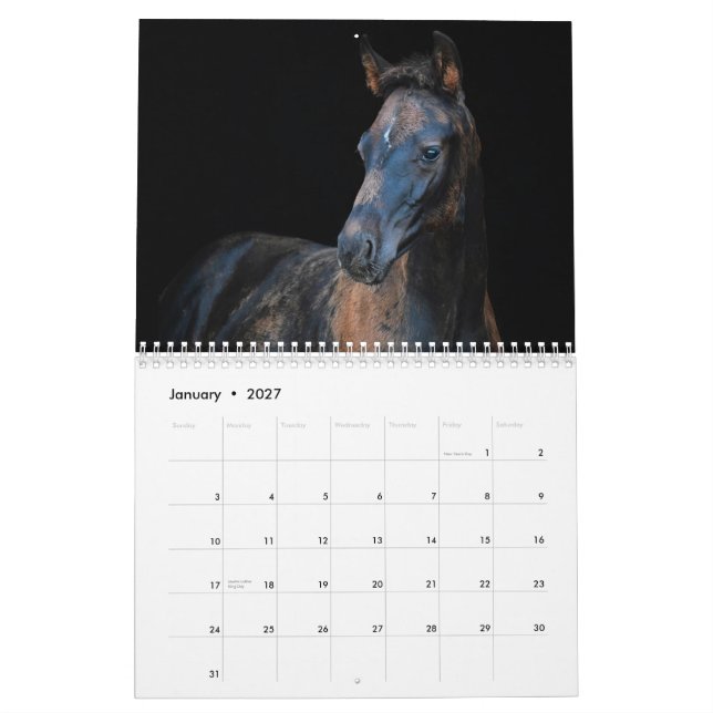 Stargazer Farm Pferde Kalender (Jan 2027)