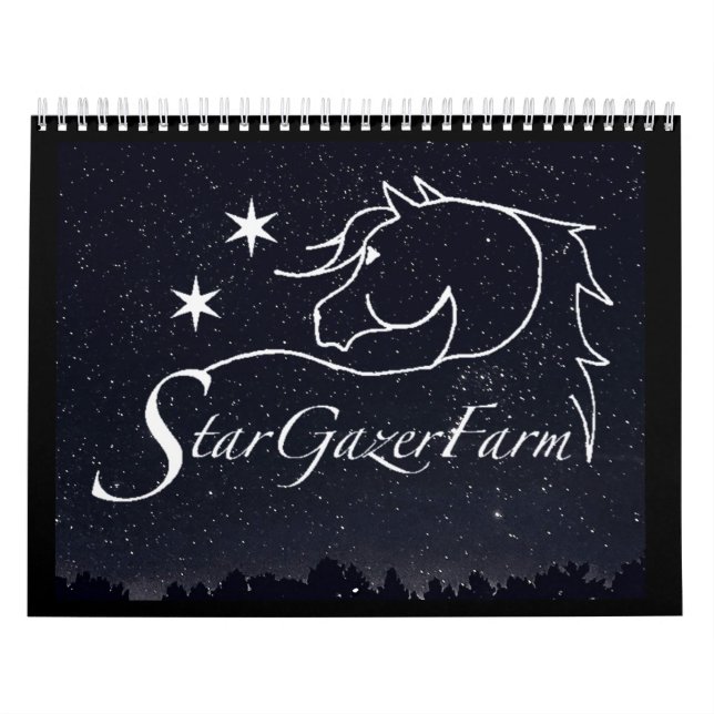 Stargazer Farm Pferde Kalender (Titelbild)