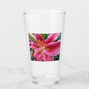 Stargazer Glas