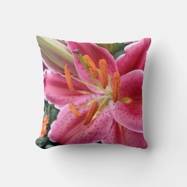 Stargazer Kissen (Vorderseite)