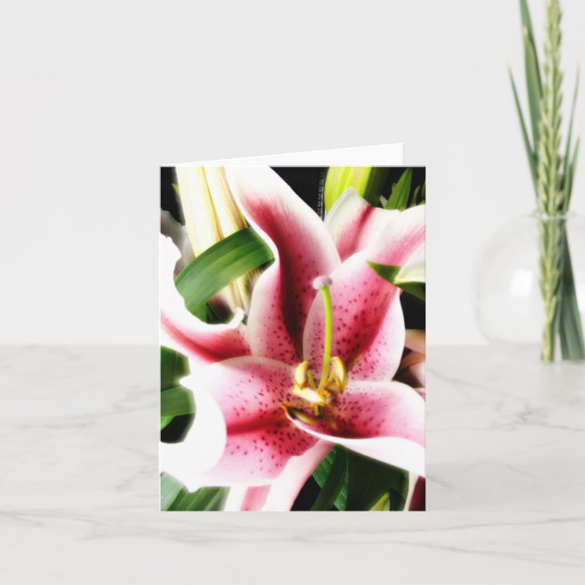 Stargazer-Lilie Notecard Karte (Vorderseite)
