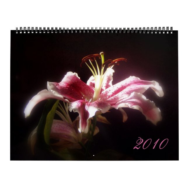 Stargazer-Lilien-Kalender Kalender (Titelbild)