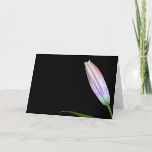 Stargazer-Lilien-Knospe Karte