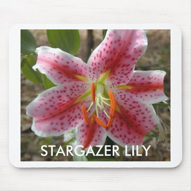 STARGAZER-LILIEN-Mausunterlage Mousepad (Vorne)