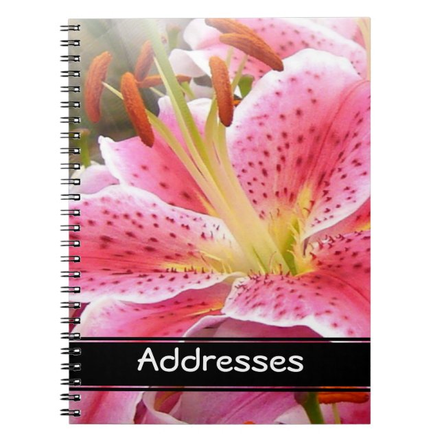 "Stargazer" Lilies-Adresse Notizblock (Vorderseite)