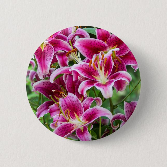 Stargazer Lilies Button (Vorderseite)