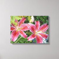 Stargazer Lilies Garden