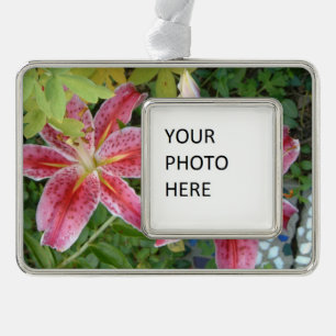 Stargazer Lilies Garden Rahmen-Ornament Silber