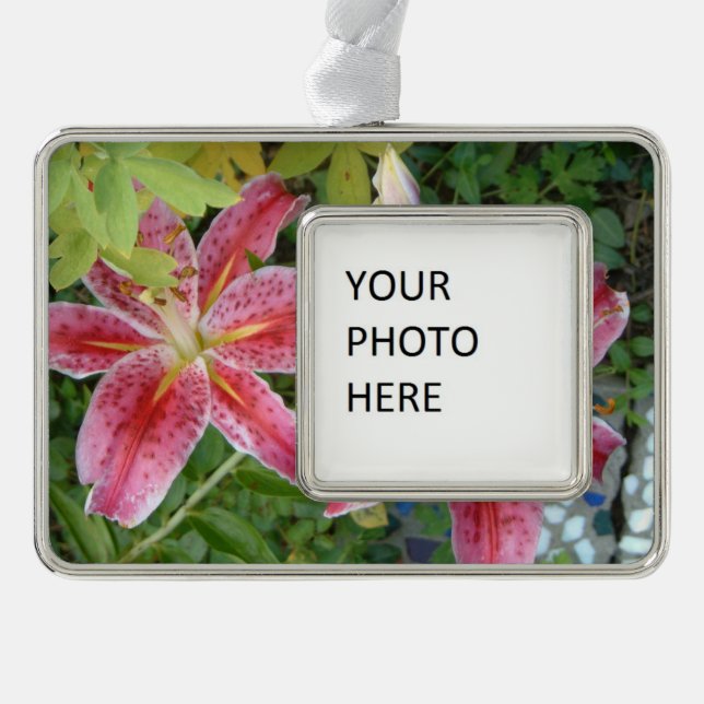 Stargazer Lilies Garden Rahmen-Ornament Silber (Vorderseite)