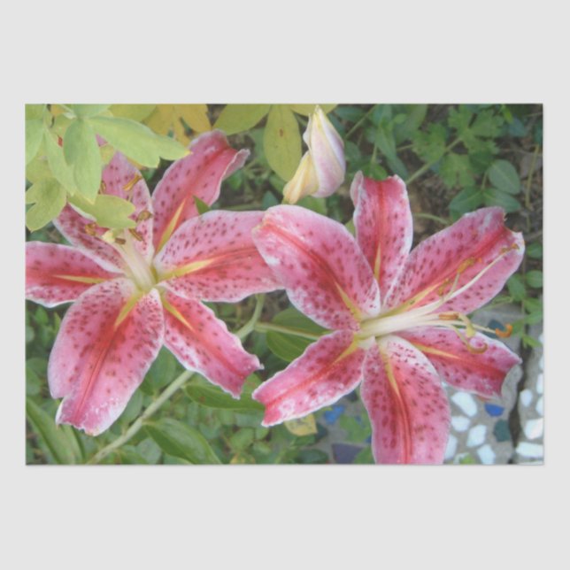 Stargazer Lilies Garden Seidenpapier (Vorderseite)