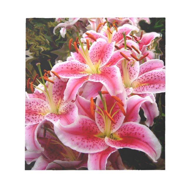"Stargazer" Lilies Notizblock (Vorderseite)
