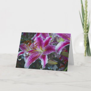 Stargazer Lilies Pink & Magenta Karte