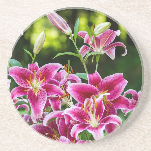 Stargazer Lilies Untersetzer (Vorne)
