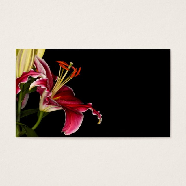 Stargazer Lily (Vorderseite)