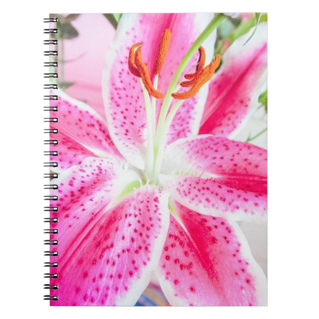 Stargazer Lily Blume Notizblock (Vorderseite)