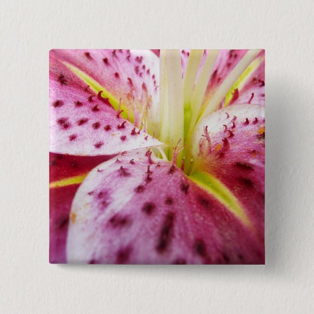 Stargazer Lily Bright Magenta Button (Vorderseite)