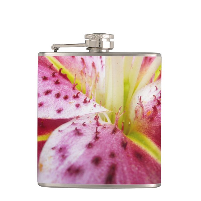 Stargazer Lily Bright Magenta Flachmann (Vorderseite)