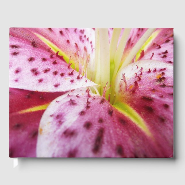 Stargazer Lily Bright Magenta Gästebuch (Vorderseite)