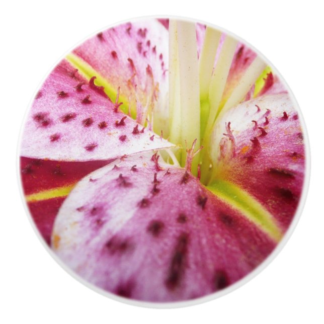 Stargazer Lily Bright Magenta Keramikknauf (Vorderseite)
