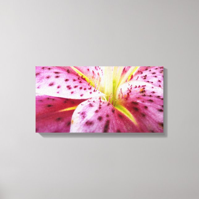 Stargazer Lily Bright Magenta Leinwanddruck (Vorderseite)