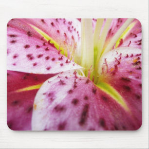 Stargazer Lily Bright Magenta Mousepad