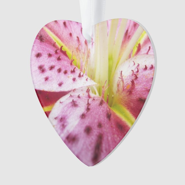 Stargazer Lily Bright Magenta Ornament (Vorderseite)