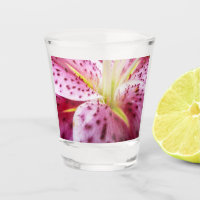 Stargazer Lily Bright Magenta