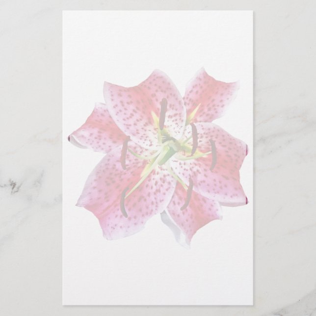 Stargazer Lily Closeup (Vorderseite)