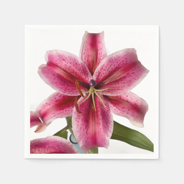 Stargazer Lily Cocktail Napkin Serviette (Vorderseite)