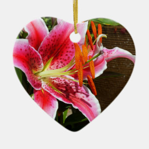 Stargazer Lily Fotograf Keramik Ornament